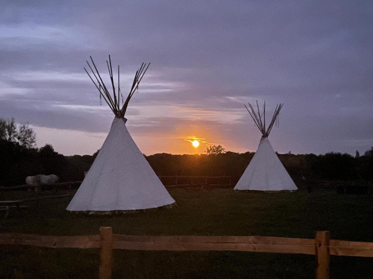 Terra-Tipike, Tipi A La Ferme Entre Terre Et Mer Trébry Exteriör bild