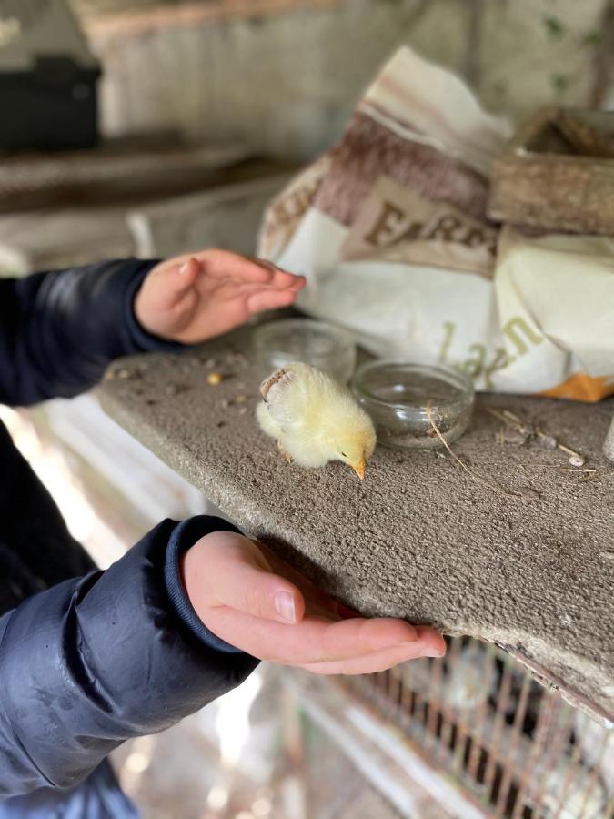 Terra-Tipike, Tipi A La Ferme Entre Terre Et Mer Trébry Exteriör bild